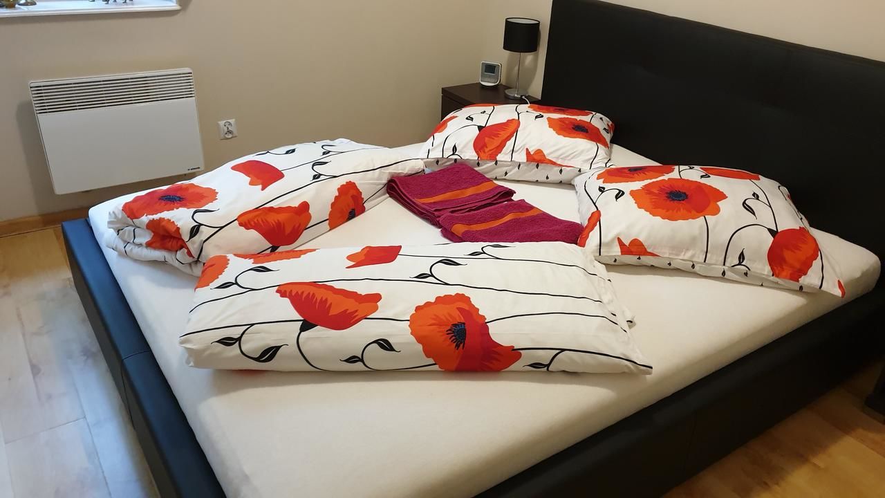 Апартаменты Apartament Maria Мендзыздрое-18